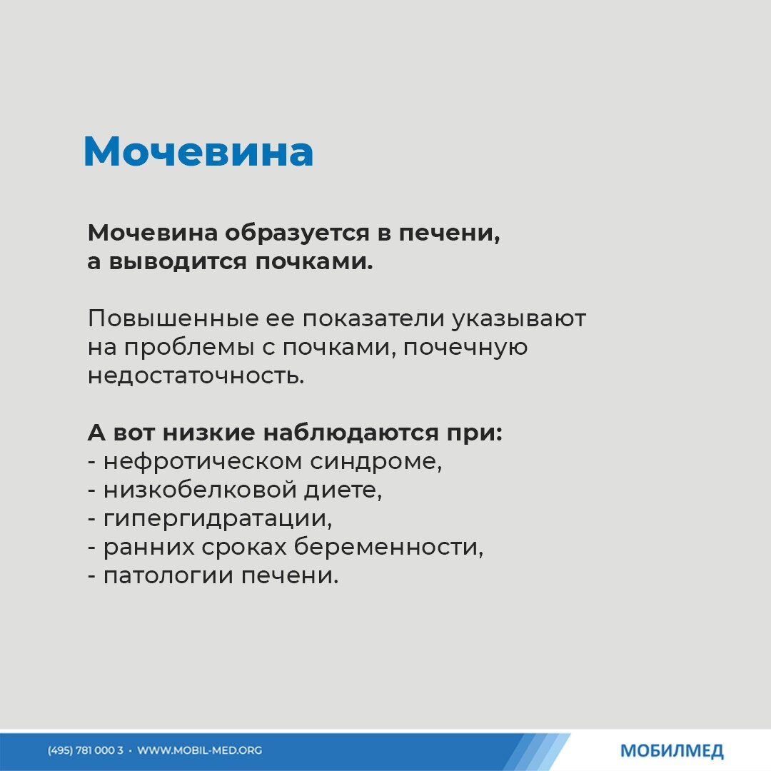 Эти 5 анализов расскажут о здоровье почек | МобилМед - твоя лабораторная  станция! | Дзен