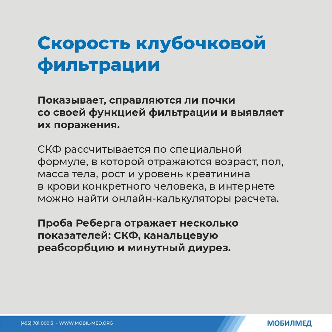 Эти 5 анализов расскажут о здоровье почек | МобилМед - твоя лабораторная  станция! | Дзен