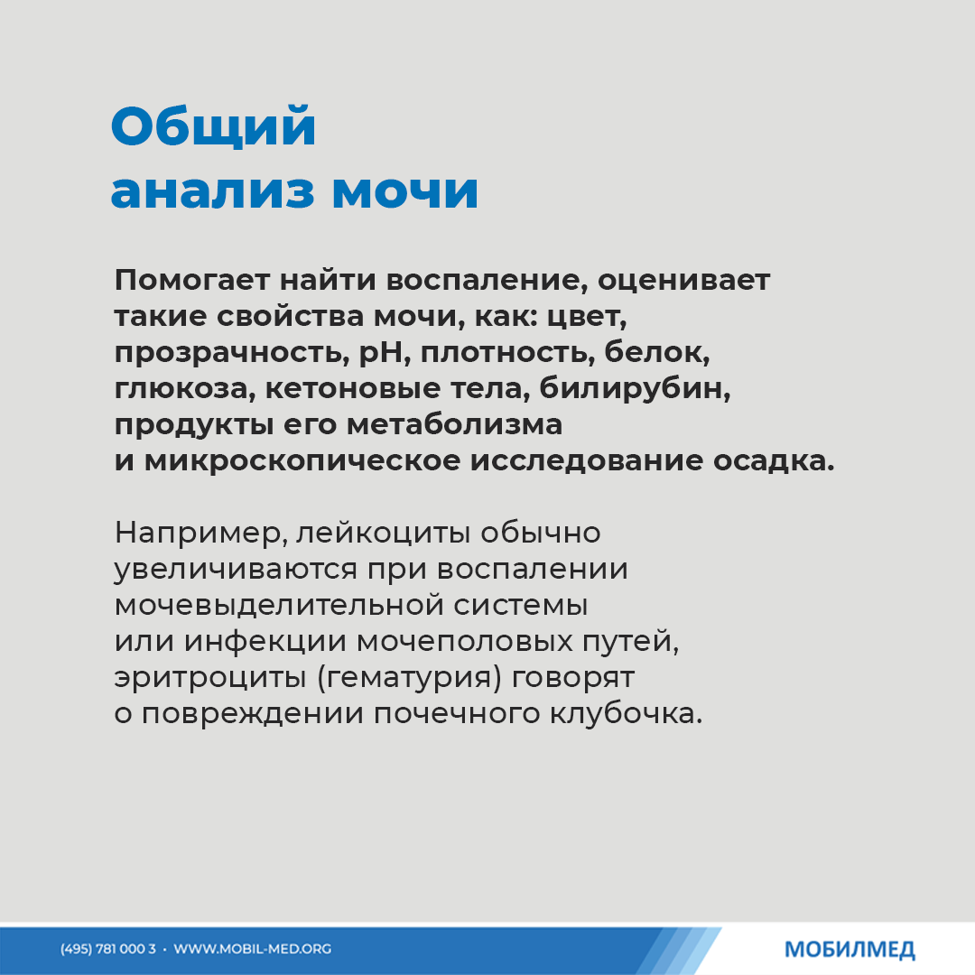 Эти 5 анализов расскажут о здоровье почек | МобилМед - твоя лабораторная  станция! | Дзен