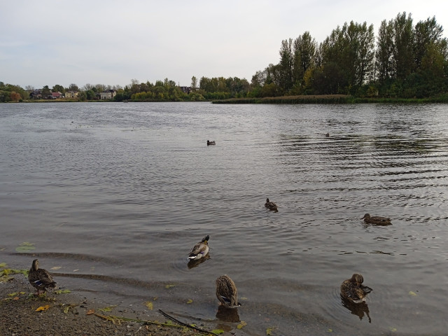 Фото: perfectstock.ru