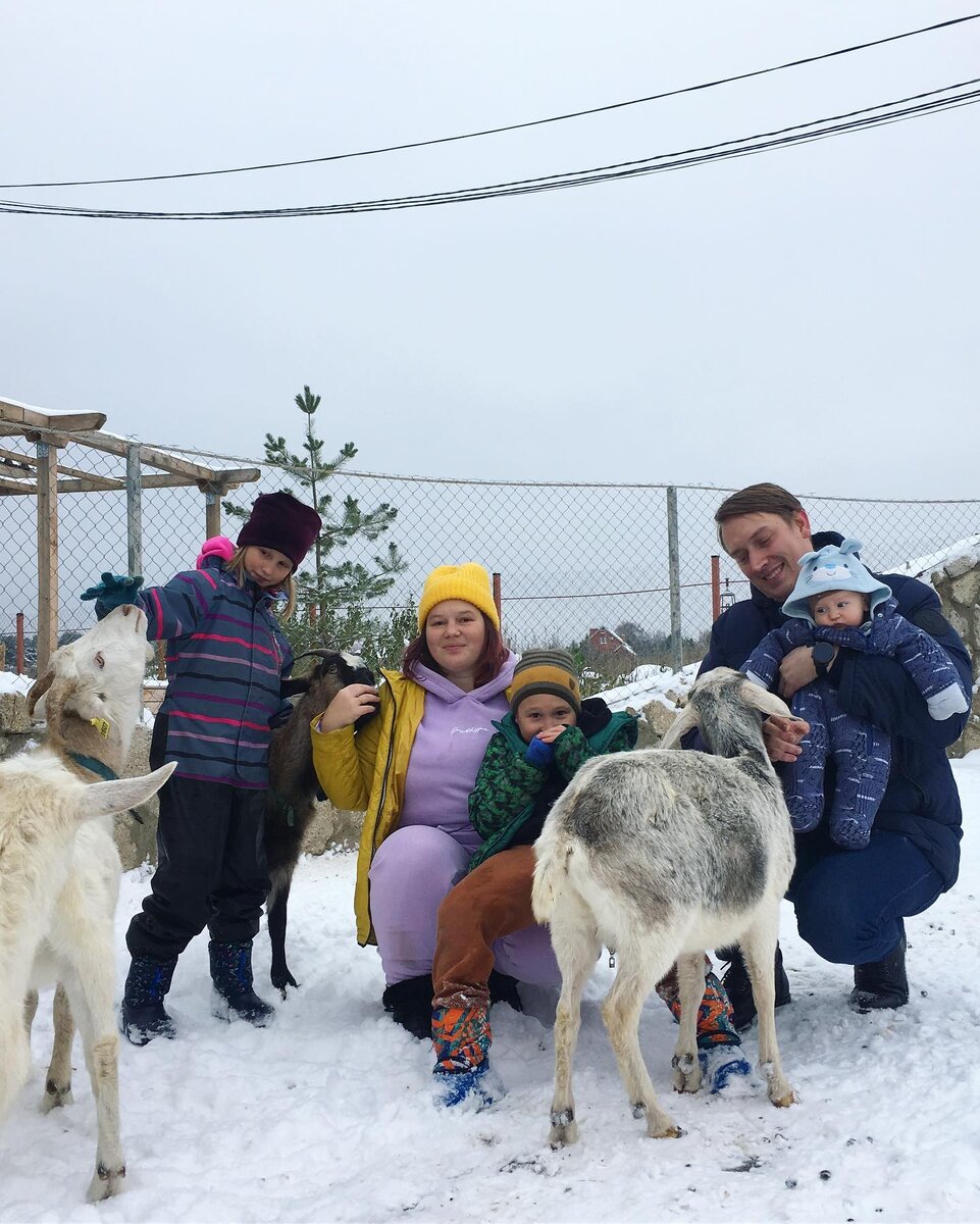 Животноводческая ферма. Ферма 56. Заболотье (раменский район). Ферма в раменском 56. Где живут овечки.