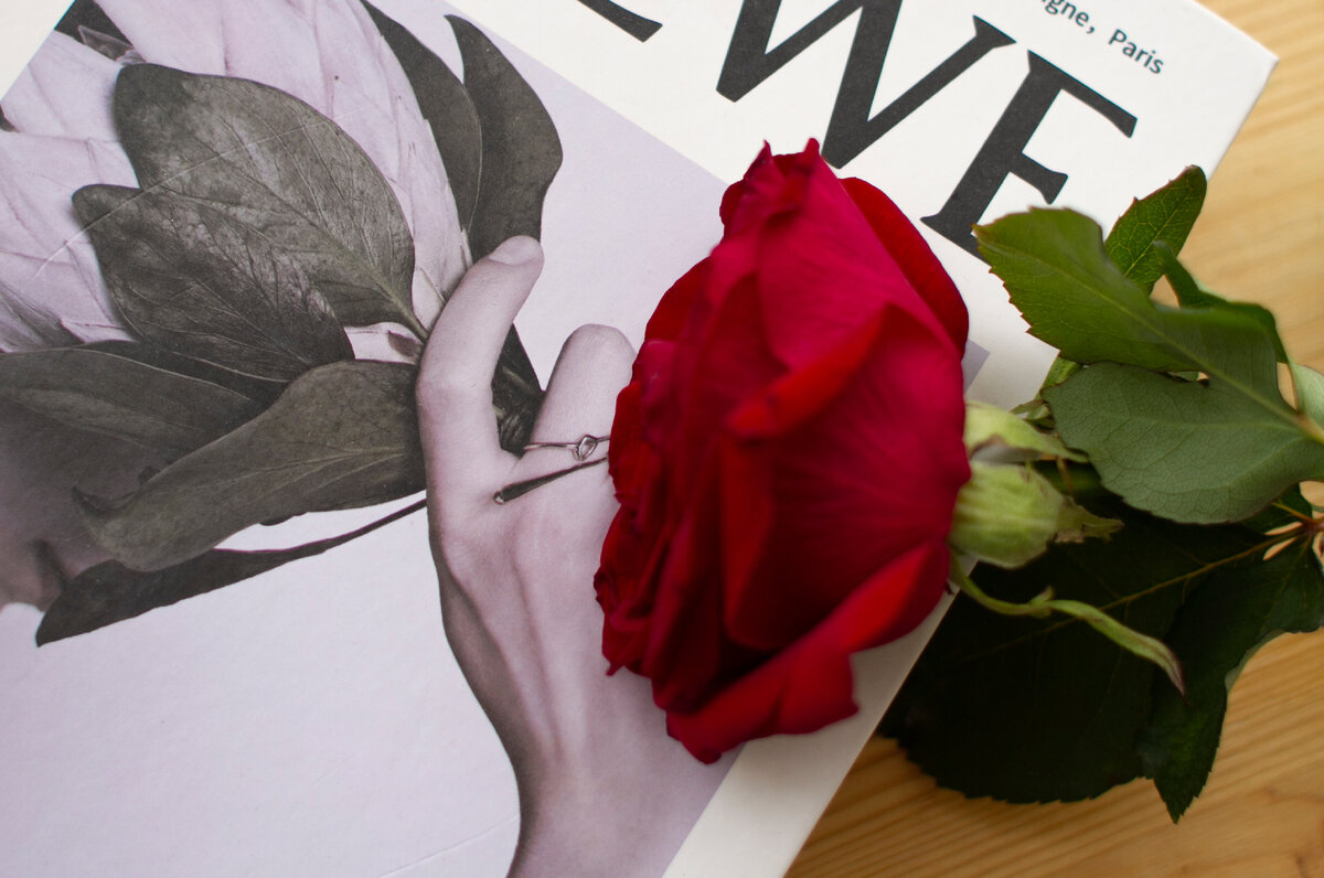 Каждая женщина подобна цветку. А как известно, каждый цветок требует ухода, тепла, внимания, заботы и любви.