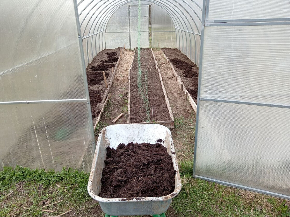 Вожу перегной на грядки.