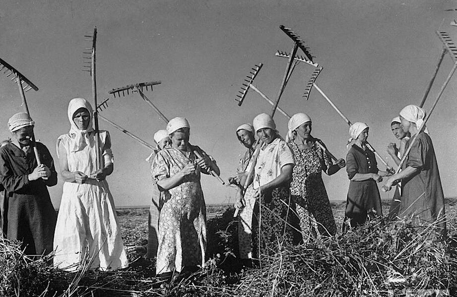 Женщины! Вы не подскажете, где дом Евдокии Мезенцевой? Спрашивает Мария