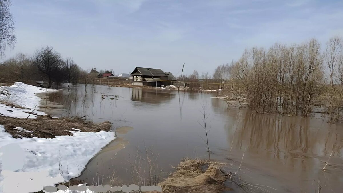     Список затопленных в Нижегородской области из-за паводков территорий обновился. В регионе подтопило дорогу в Навашинском округе. В связи с этим была организована лодочная переправа. А в Арзамасском округе «большая вода» добралась до домов.