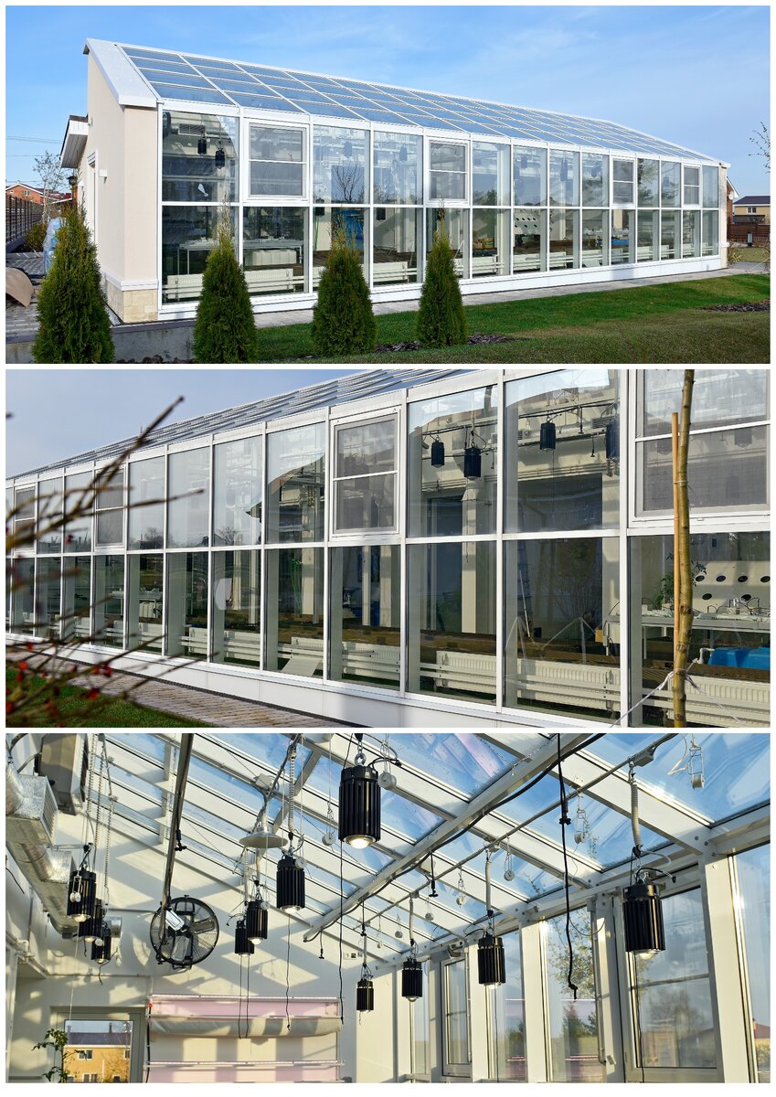 Частный вегетарий для самообеспечения семьи. Подробнее: https://superveget.ru/nizhninovgorod/