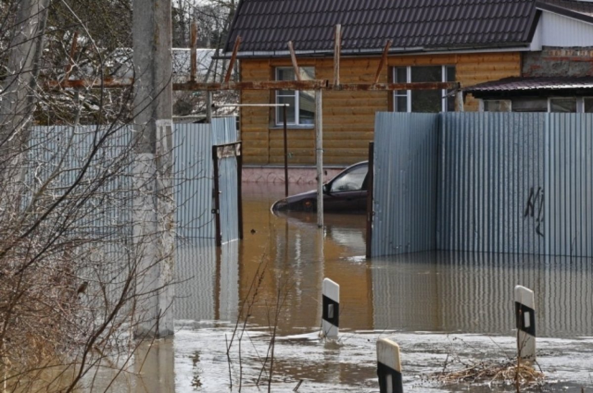    На трёх реках Тверской области вода поднялась до уровня «Высокое половодье»
