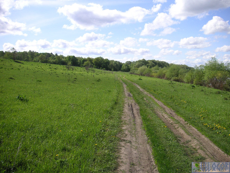 Дорога от деревни Желыбино