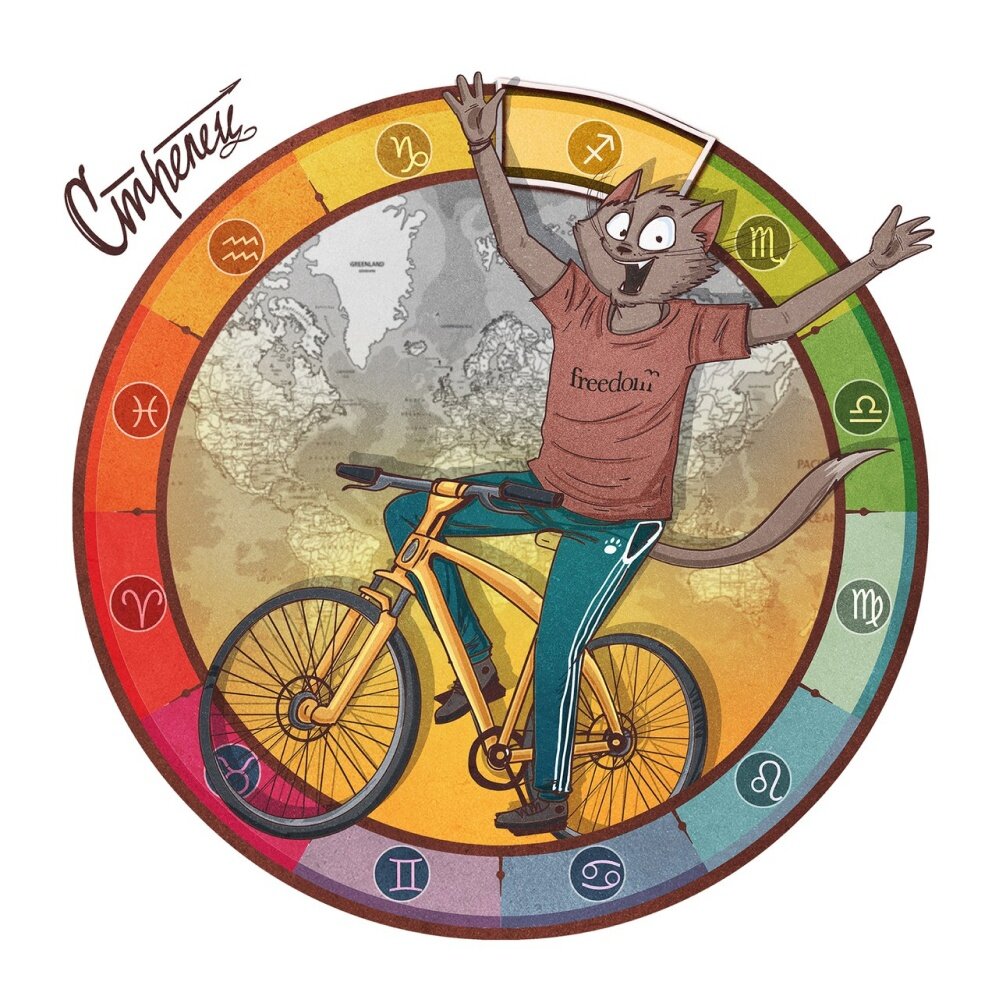 изображение взято из открытых источников