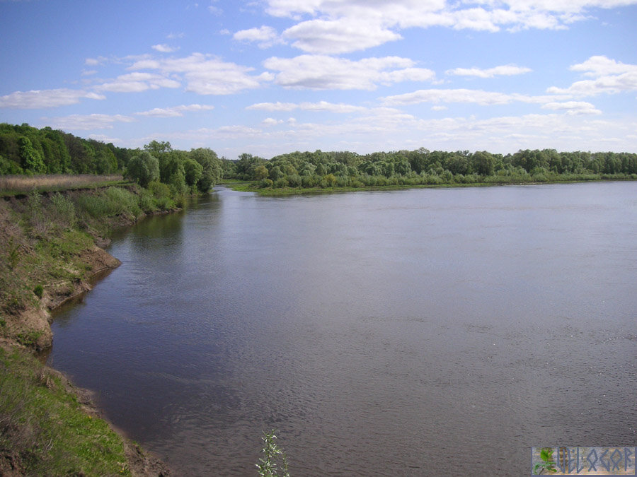 река Ока и устье озера