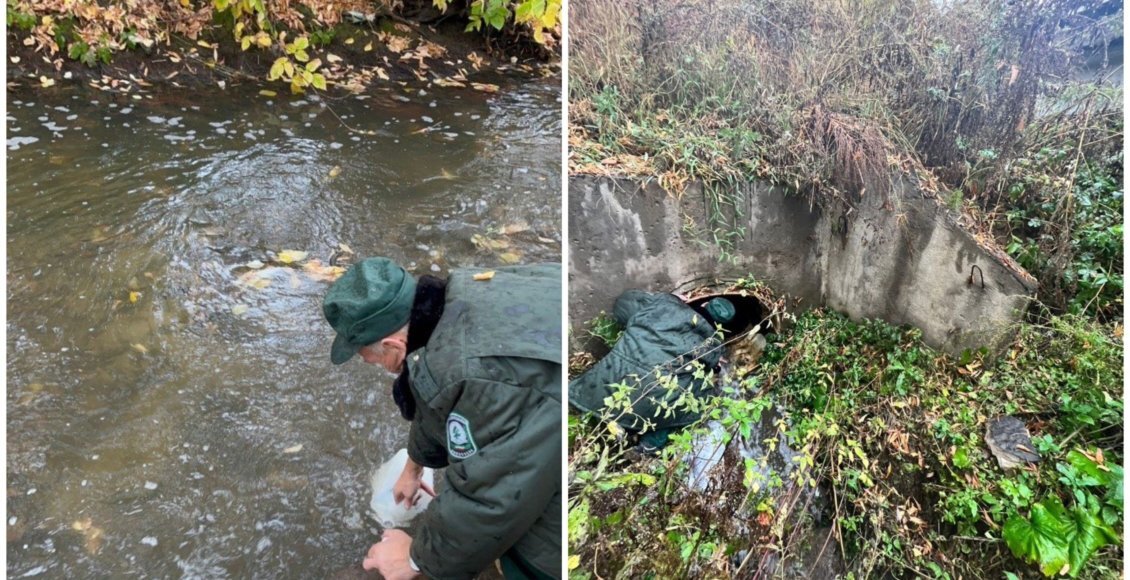    Фото: пресс-служба Минэкологии Татарстана