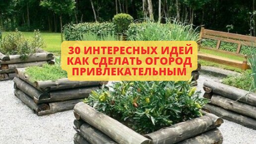 [Видео] «Ландшафтный дизайн участка 10 соток» | Дизайн озеленение, Дизайн сада, Идеи озеленения