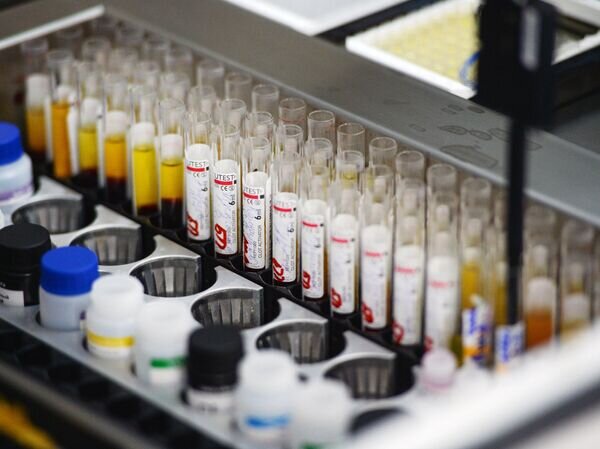    © РИА Новости Александр Кряжев