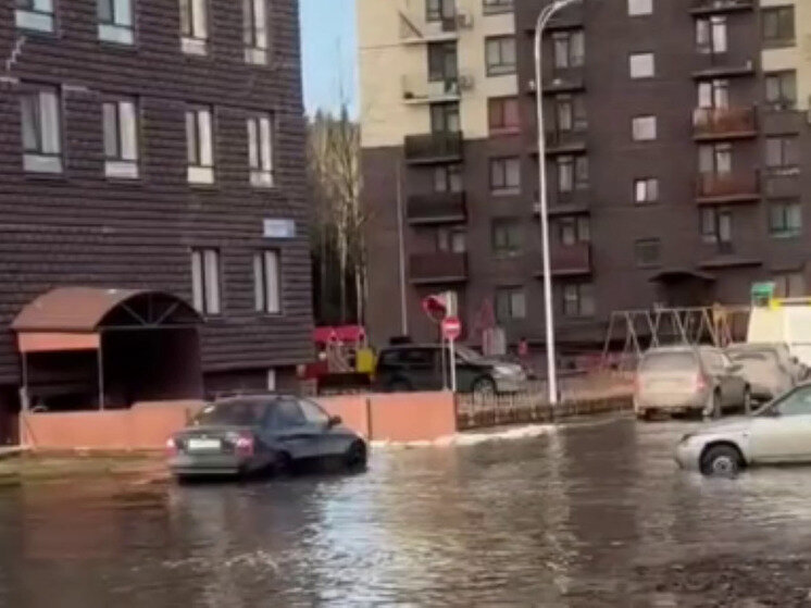     Фото: стоп-кадр видео из соцсетей