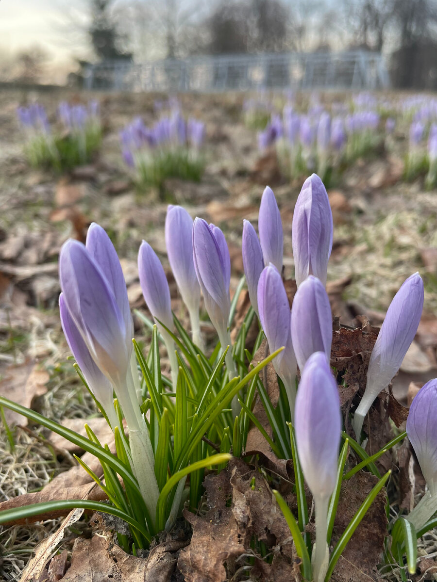 Прошлогоднее фото