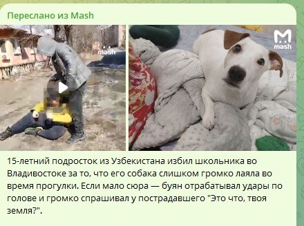    Фото: скриншот страницы Telegram/Mash