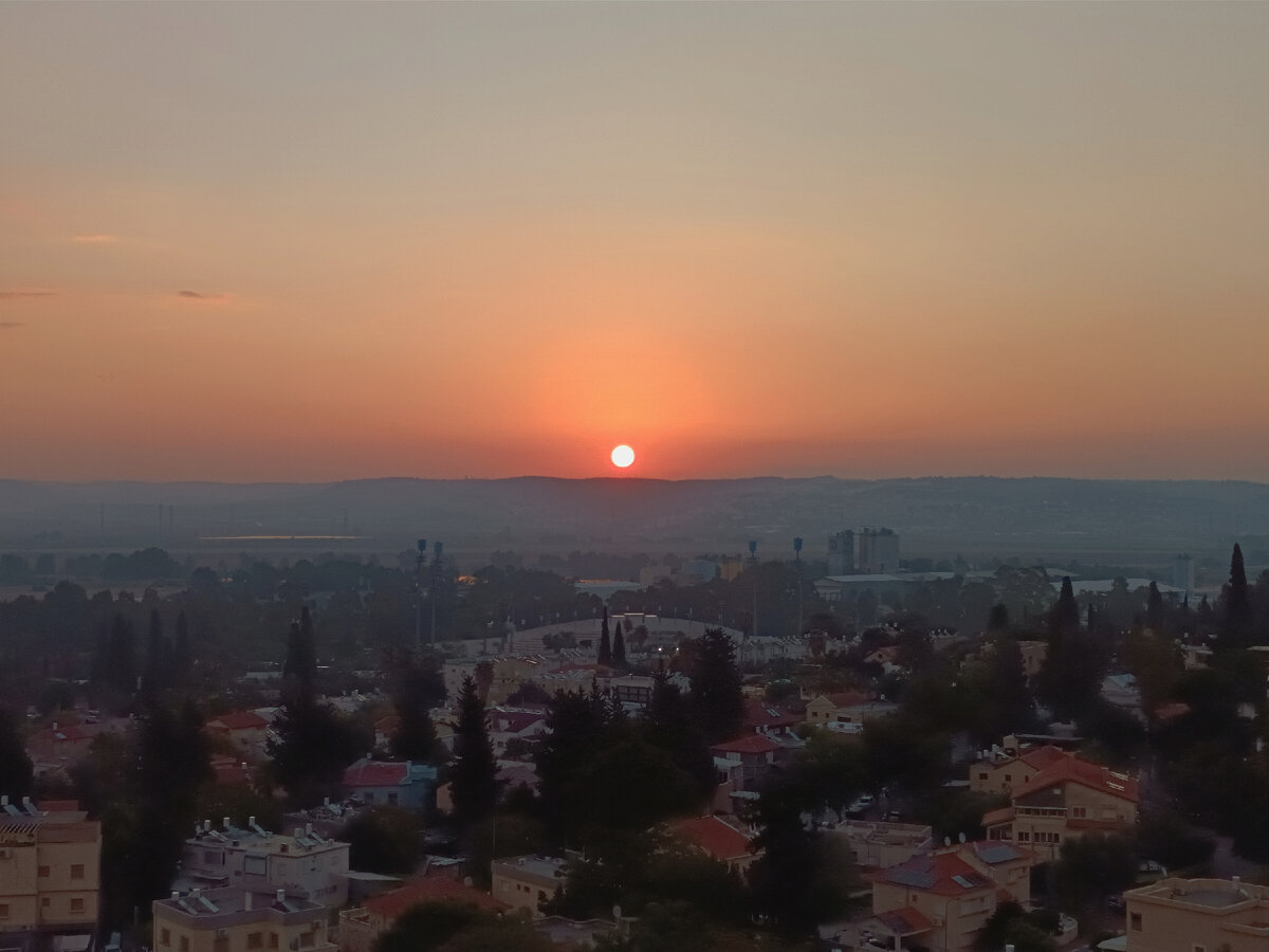 немного вида из нынешнего окна 