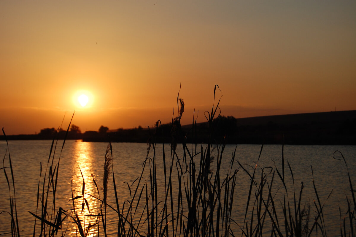 Фото автора.