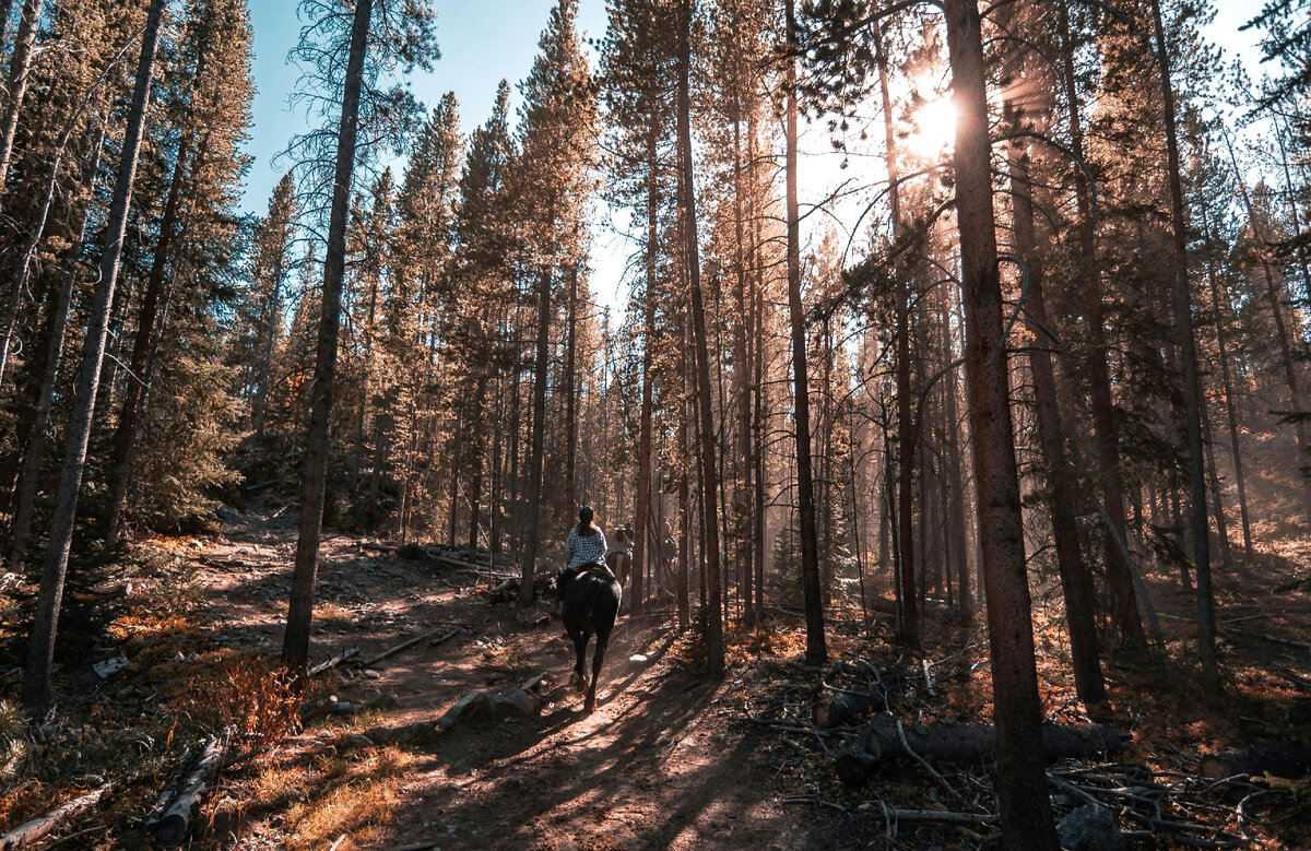 Фото Колина Ллойда на Unsplash