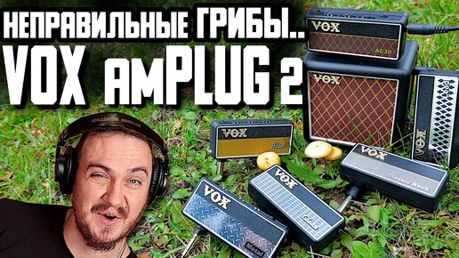 🌲🍄ОБЗОР ИЗ ЛЕСА! VOX AmPlug2