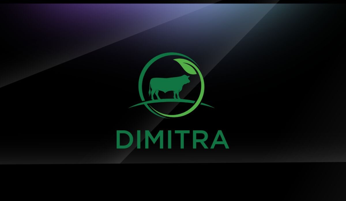 Dimitra (DMTR) Token будет внесен в листинг спотовых активов BingX