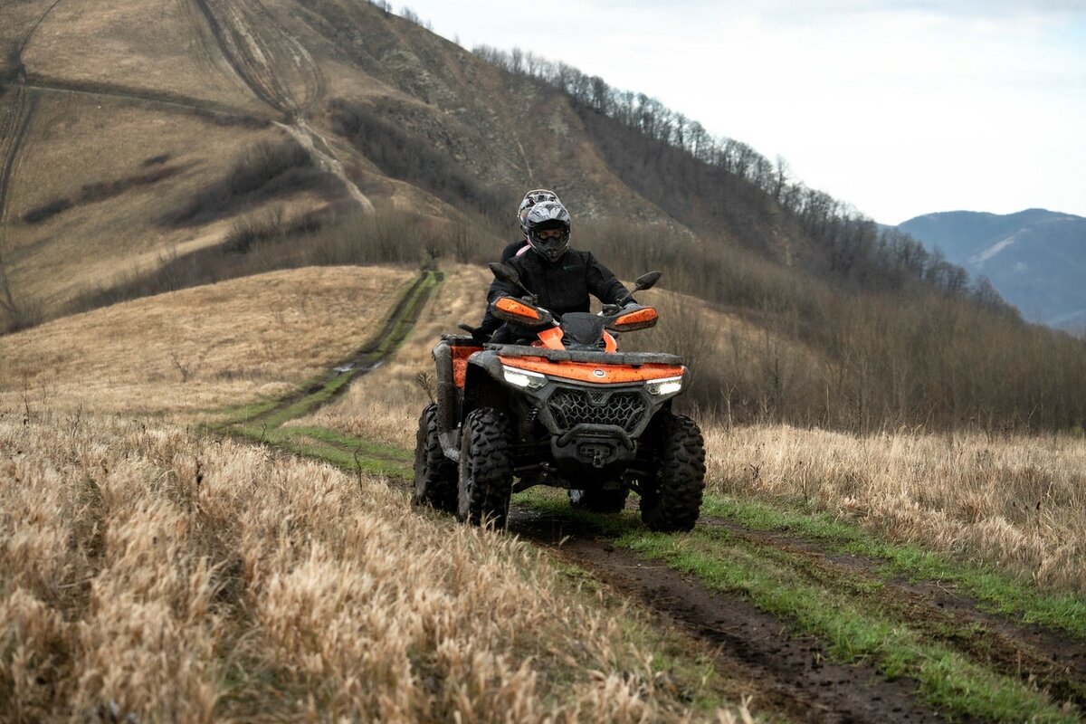 Анимация картинкиРедактироватьДобавьте описание