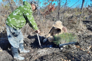   Фото: пресс-служба губернатора и правительства Хабаровского края