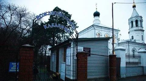 Фотография взята из источника yandex.ru