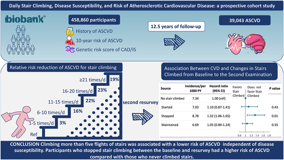 Изображение из статьи - https://www.atherosclerosis-journal.com/article/S0021-9150(23)05221-8/fulltext