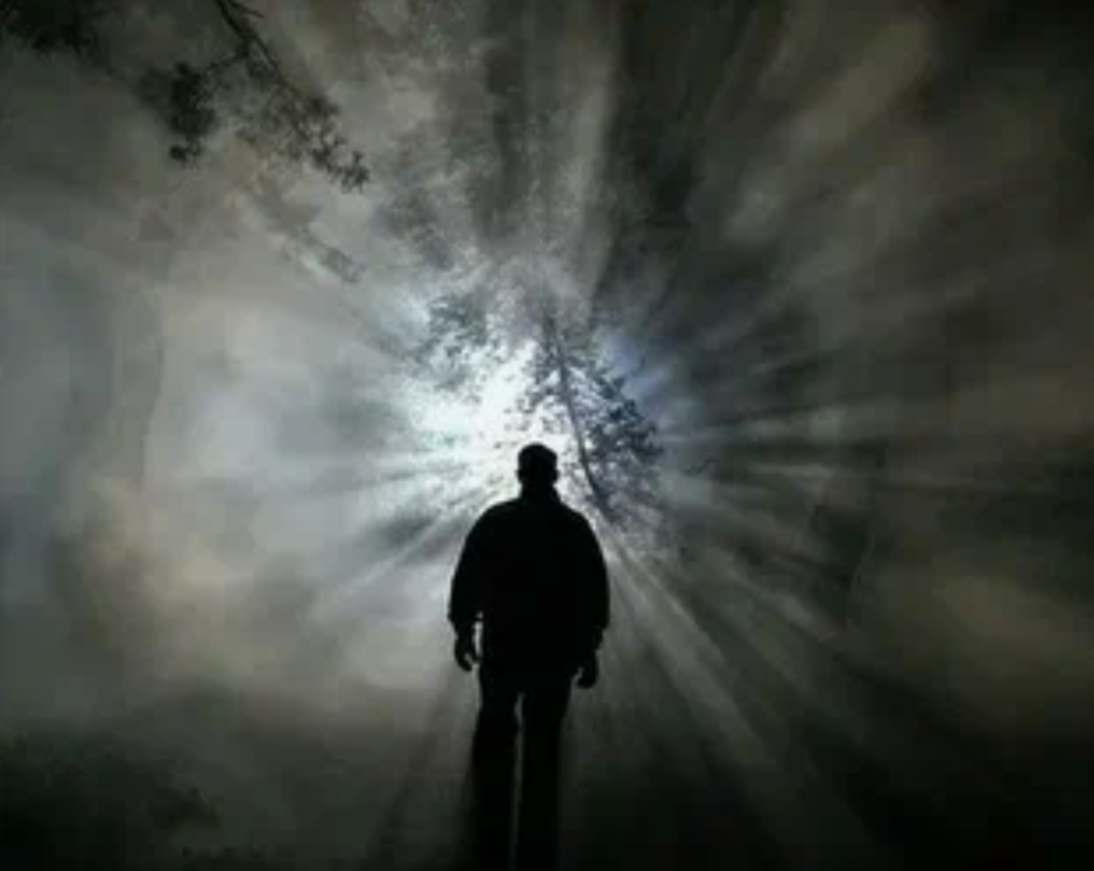 Картинка из открытых источников Яндекс