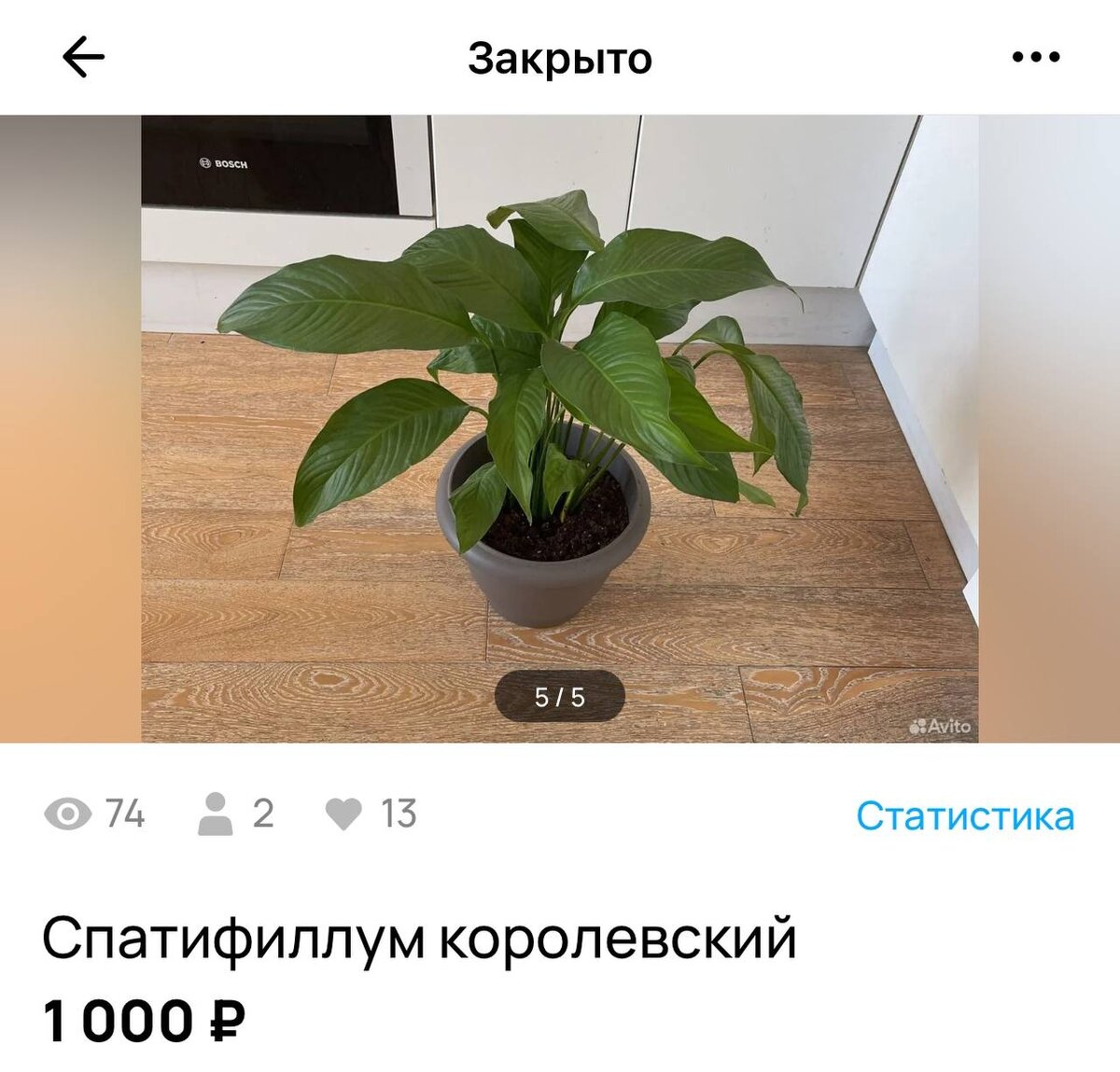 старйтесь минимизировать затраты на горшок и землю