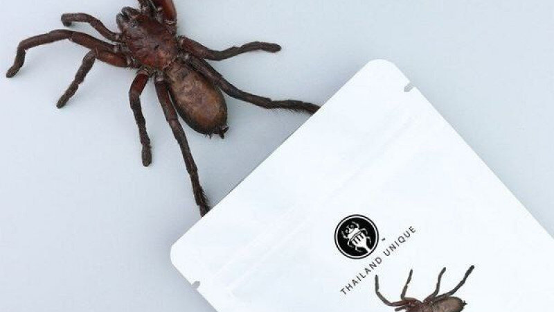     В популярной туристической стране появились готовые к употреблению тарантулы. Telegram-канал "Реальный Таиланд"