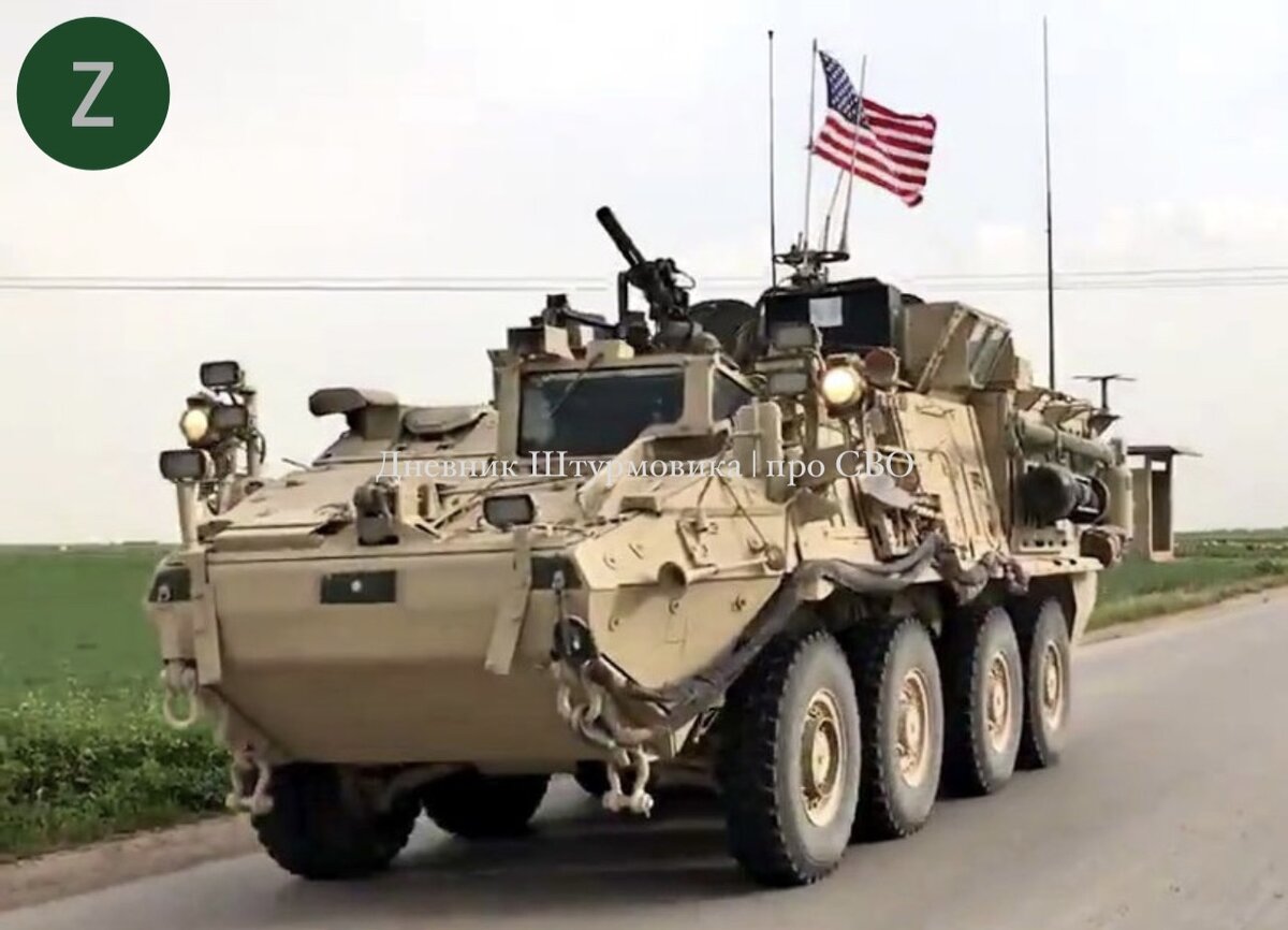 Изображение из открытых источников.