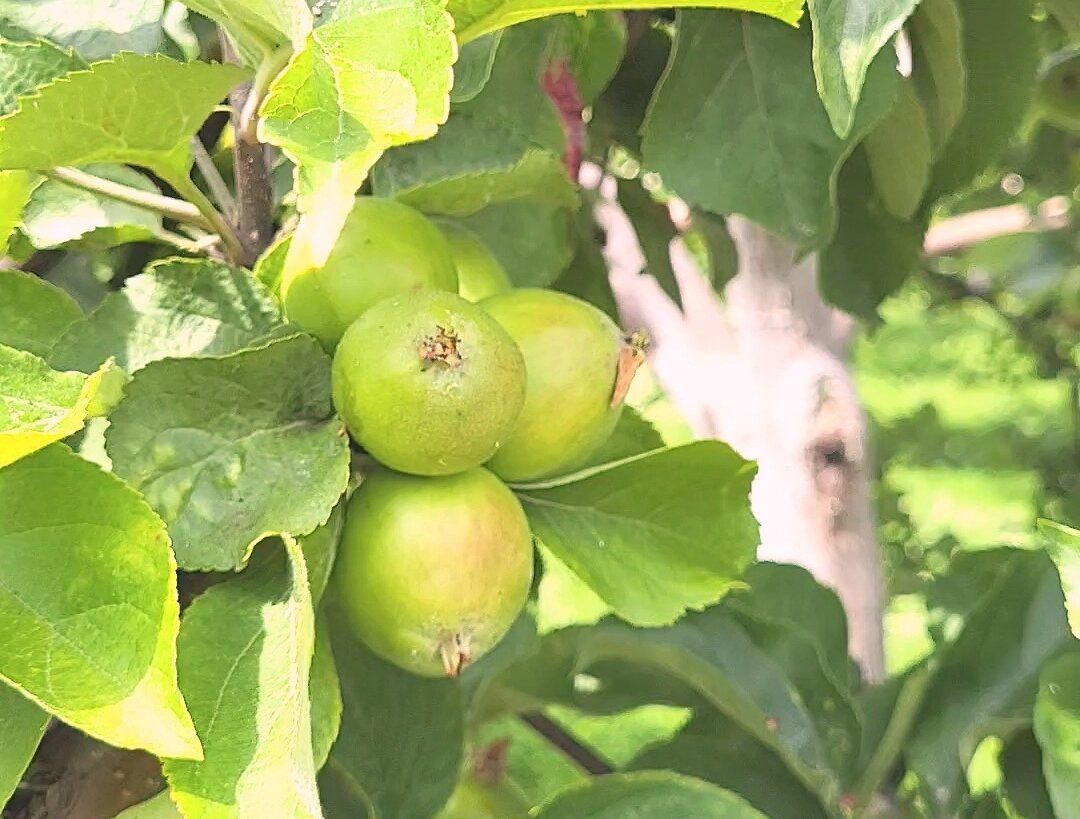 Фото принадлежит автору канала.
