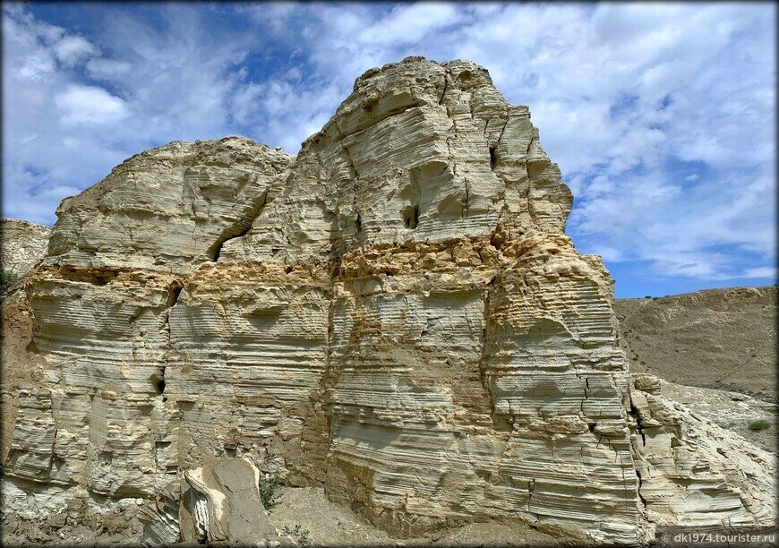 Луна. Фото из сети.