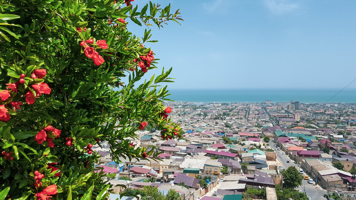 © Ele Sviridova/ Shutterstock