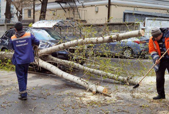 Через Дырку В Туалете Порно Видео | skaterti-ot-kati.ru