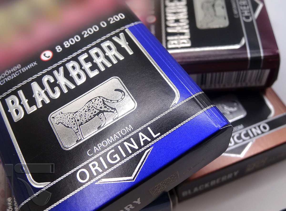 Сигариллы Blackberry. Фото:©канал "Уголок Курильщика"