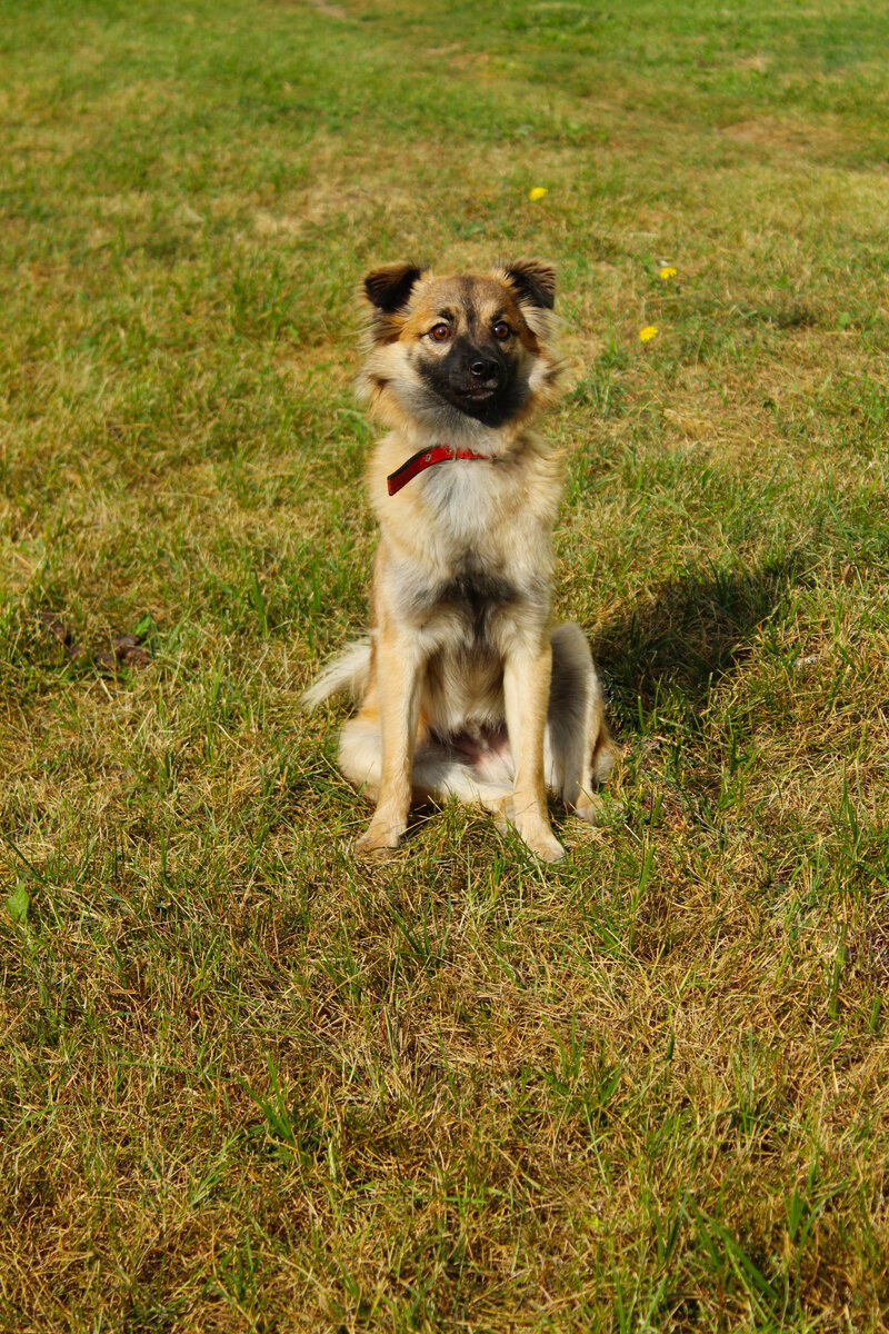 Мы не могли представить, что такой парень будет так сложно и долго искать дом