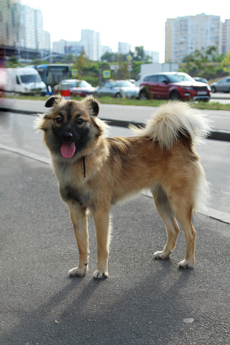 Да, это вся история - вот про этого хрупкого пацана