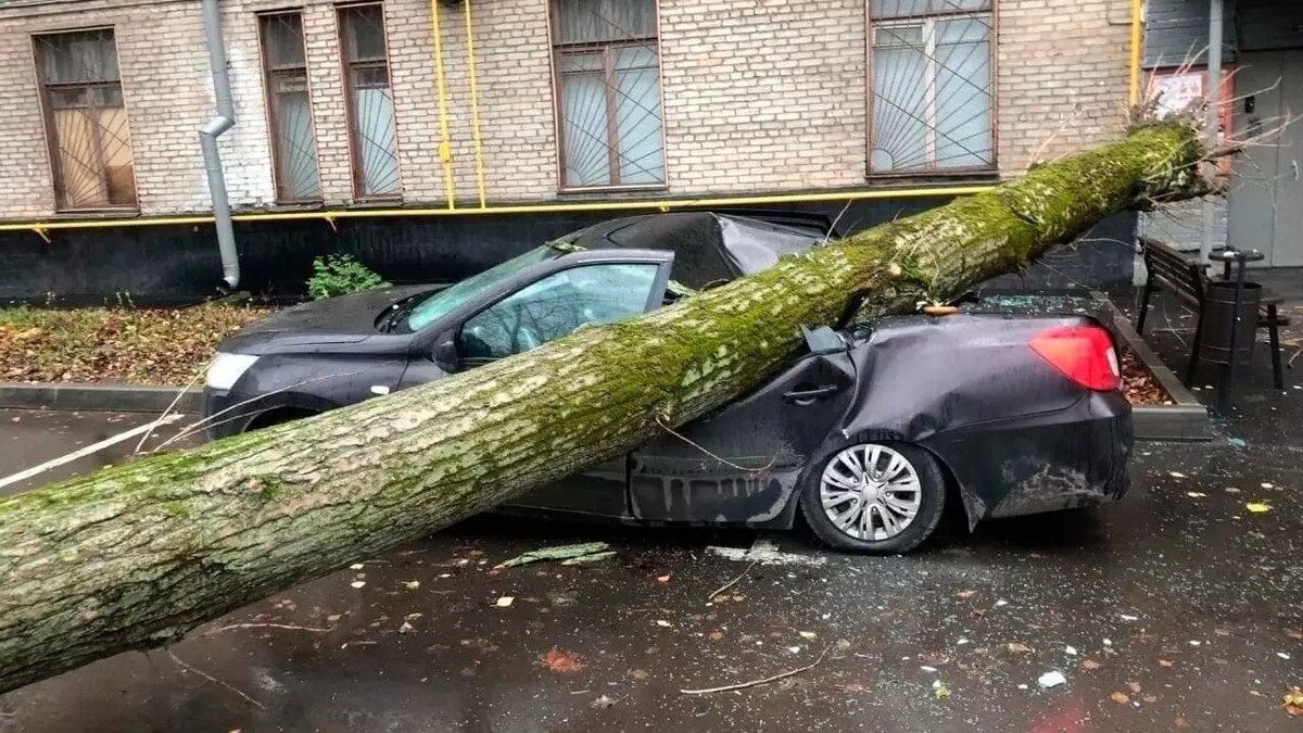 Москву накрыл ураган: разрушения, снесенные деревья, есть погибший | НОВЫЕ  ИЗВЕСТИЯ | Дзен