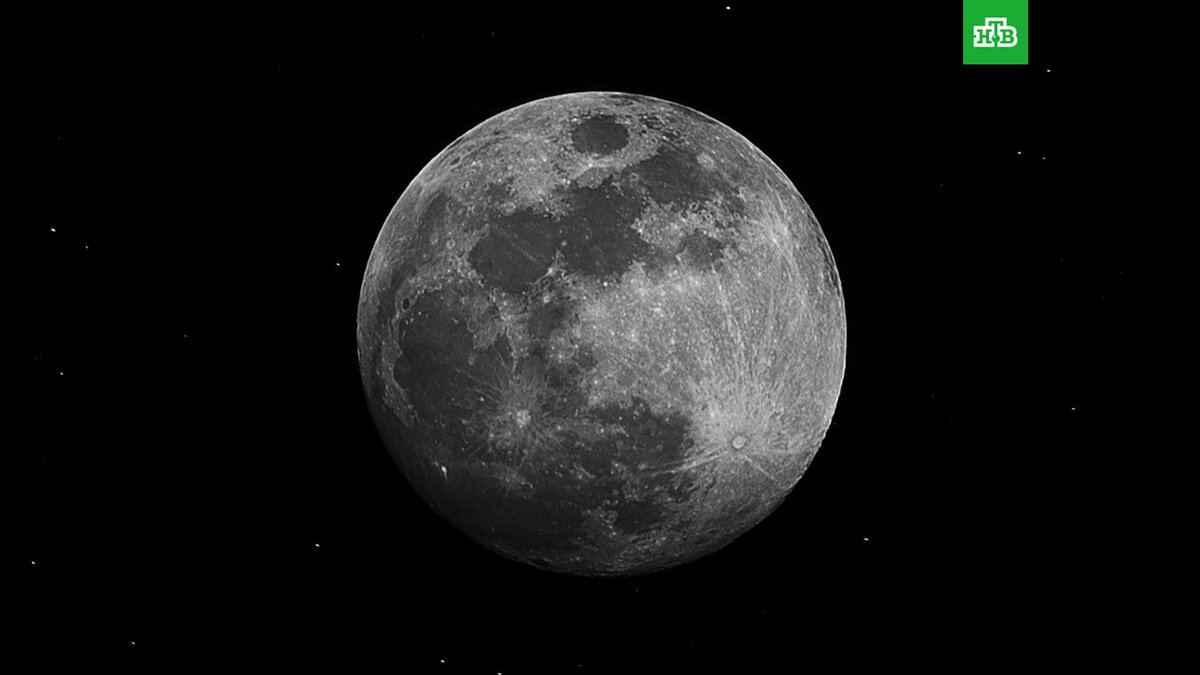    Фото: Alexander Andrews / unsplash.com