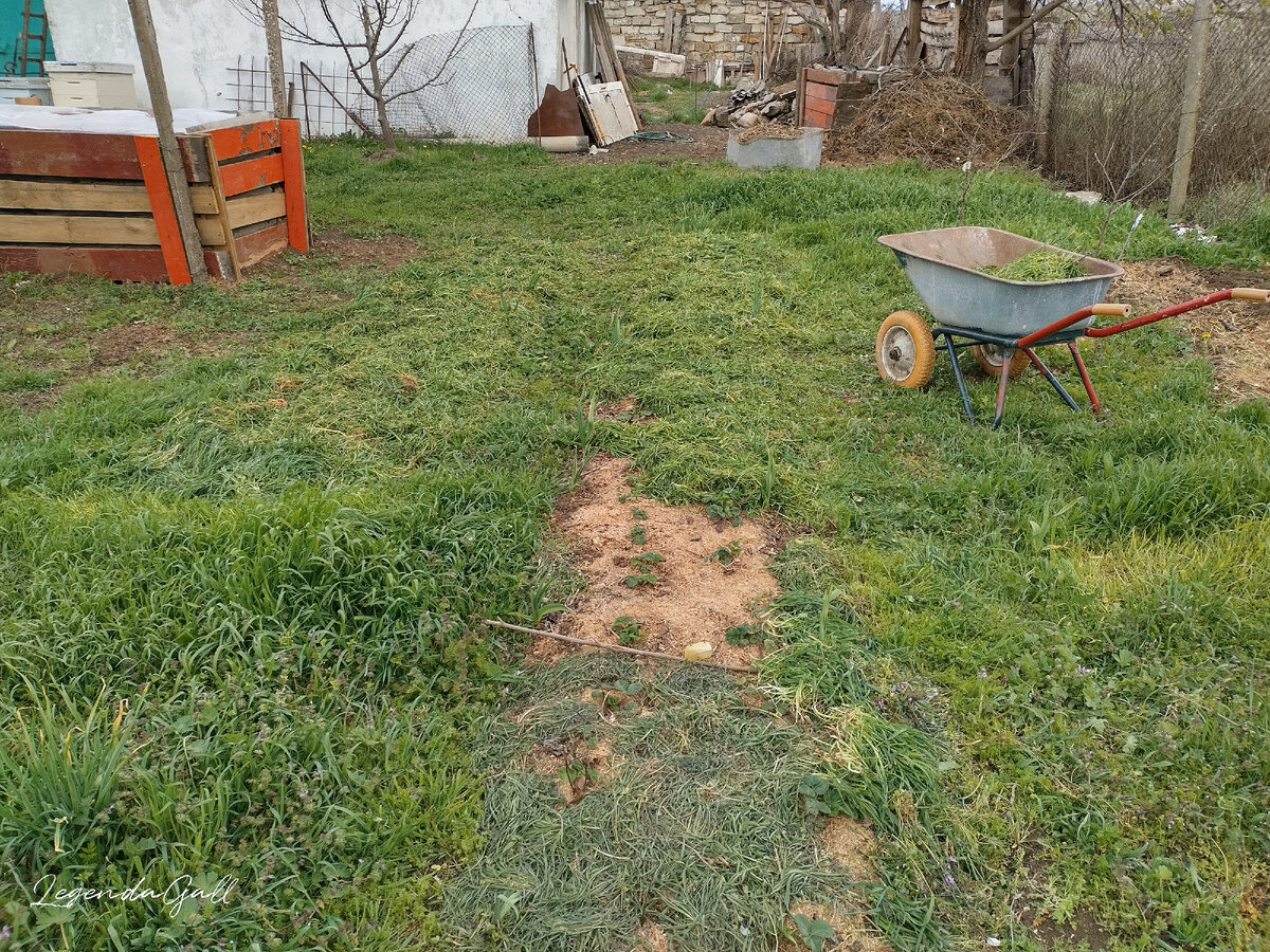 Снизу снимка - это я вчера травки немного уже укладывала, она вся высохла. Сегодня добавила