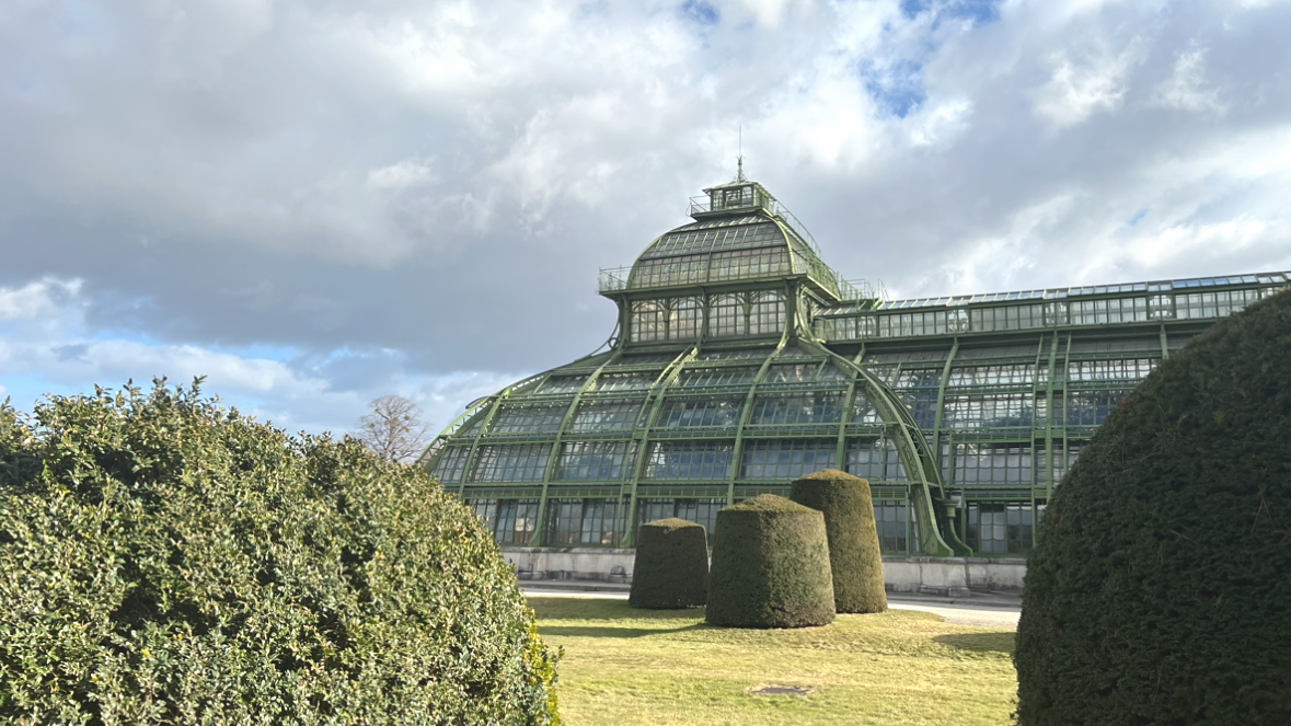 Территория Шенбрунна