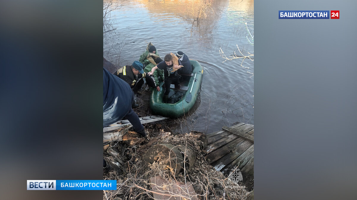 В башкирском Давлеканово талыми водами подтопило 8 домов: публикуем кадры спасения  людей | Башкортостан 24 | Дзен