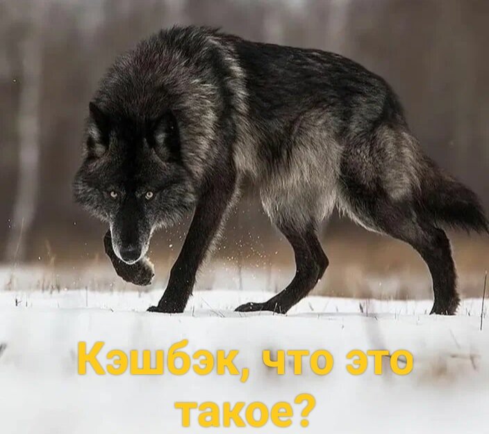 Кэшбэк 