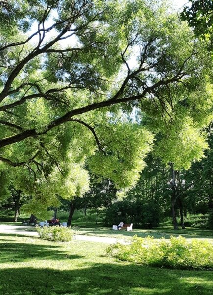 Сквер у городских ворот /фото из личного архива/