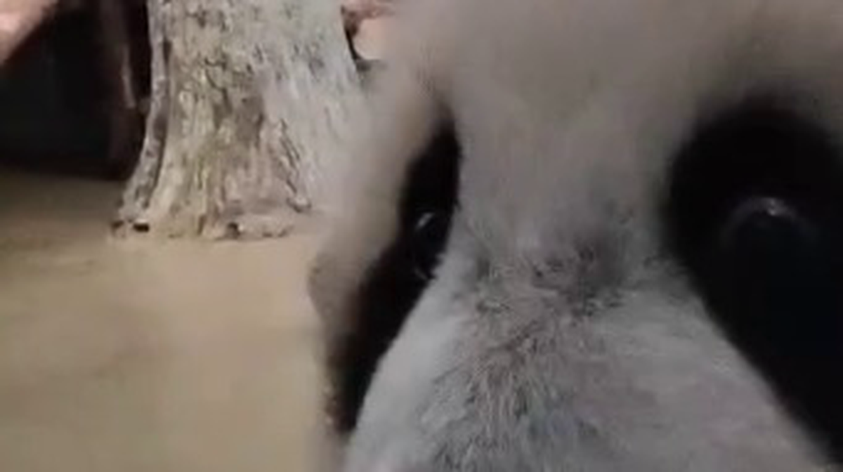    Фото: Telegram / Светлана Акулова