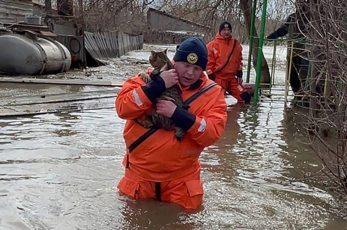    В Тверской области паводок может вызвать стихийные бедствия и нанести ущерб