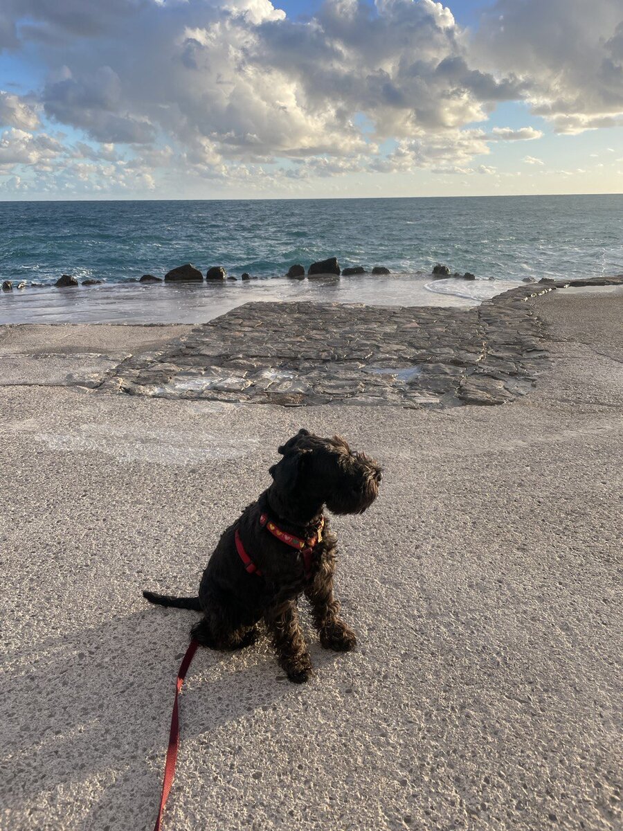 Это я на пляж Плоче (Ploce), недалеко от Будвы